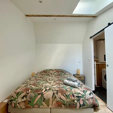 Apartmán La Taniere - 341 *